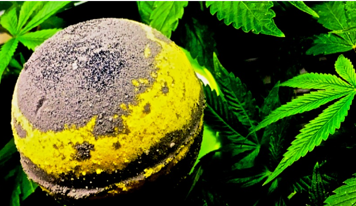 هل تنقلك قنابل حمام CBD
