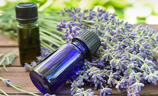 نسب الزيت العطري وعلاقتها مع عطر قنبلة الحمام
