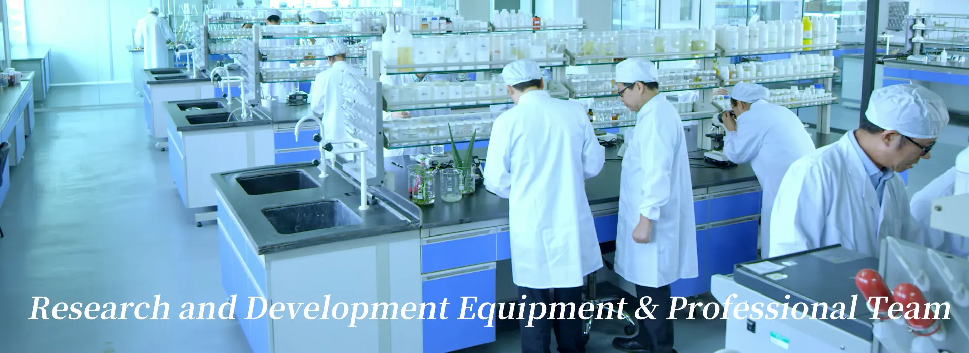 R&D Capabilities R&D Capabilities